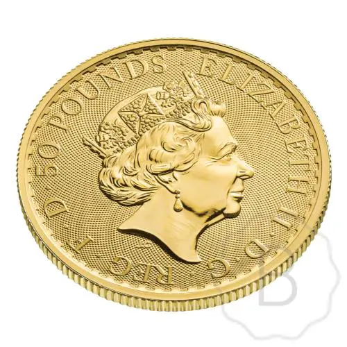 Britannia Gold 0.5 Troy Ounce #4