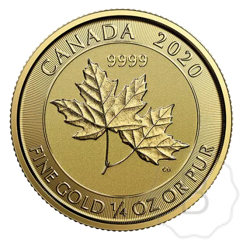 Maple Leaf 2020 Goud 0,25 Troy Ounce #1