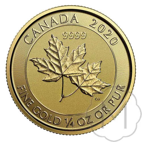 Maple Leaf Mehrere Jahre Gold 0.25 Troy Ounce #1