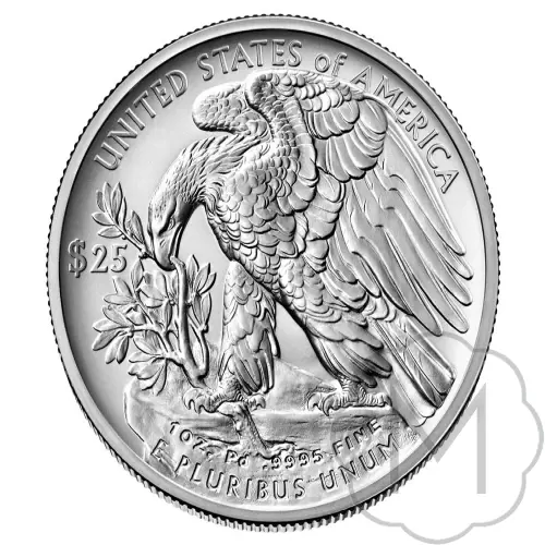 American Eagle 2020 Palladium 1 Troy Ounce #1