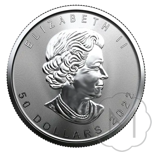 Maple Leaf Palladium 1 Troy Ounce #2