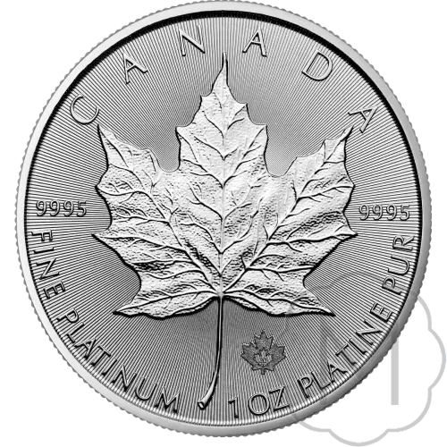 Maple Leaf Mehrere Jahre Palladium 1 Troy Ounce #1