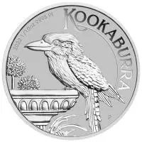 Australian Kookaburra