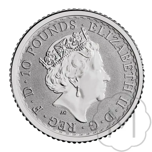 Britannia 2022 Platin 0.1 Troy Ounce #2