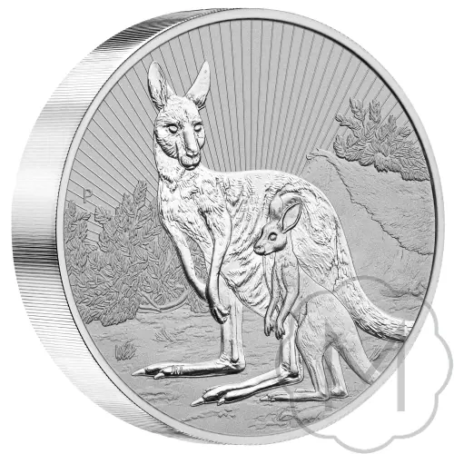 Australian Kangaroo 2023 Zilver 10 Troy Ounce #1