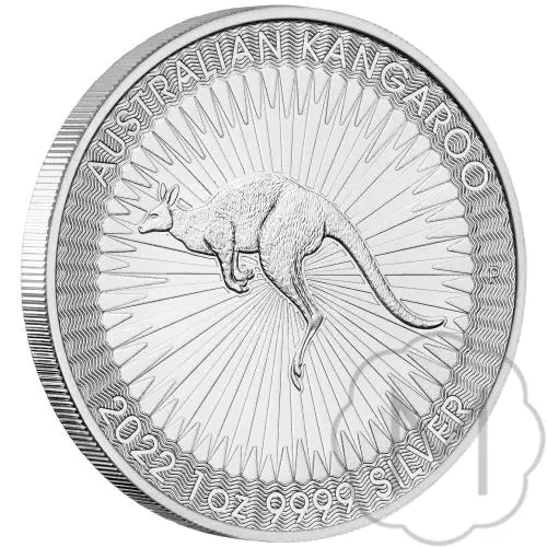 Australian Kangaroo Mehrere Jahre Silber 1 Troy Ounce #3