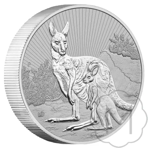 Australian Kangaroo Mehrere Jahre Silber 2 Troy Ounce #1