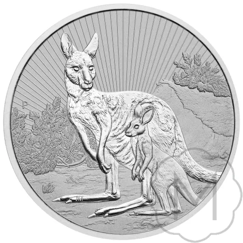 Australian Kangaroo Mehrere Jahre Silber 2 Troy Ounce #2