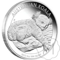 Australian Koala