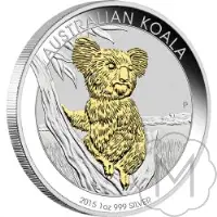 Australian Koala