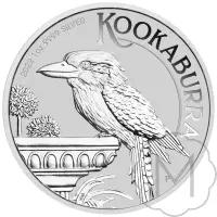 Australian Kookaburra