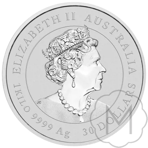 Australian Lunar III Year of the Tiger 2022 2022 Zilver 1 kilogram #3