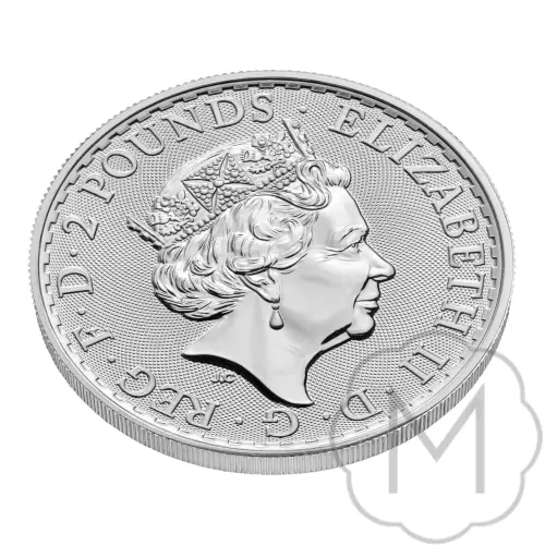 Britannia 2022 Silber 1 Troy Ounce #4