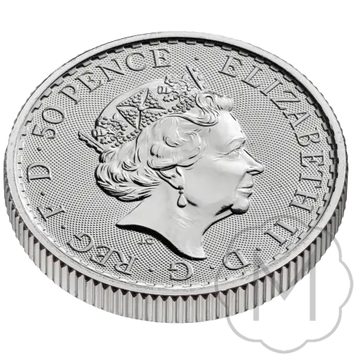 Britannia Silver 0.25 Troy Ounce #4