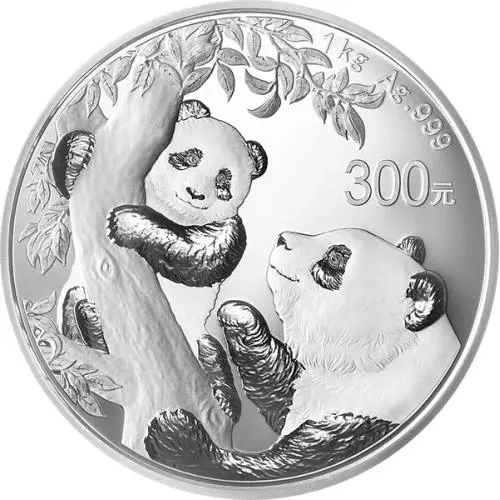 Chinese Panda 2021 Silver 1 kilogram #1