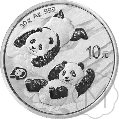 Chinese Panda 2022 Zilver 30 gram #1