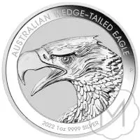 Wedge-tailed Eagle